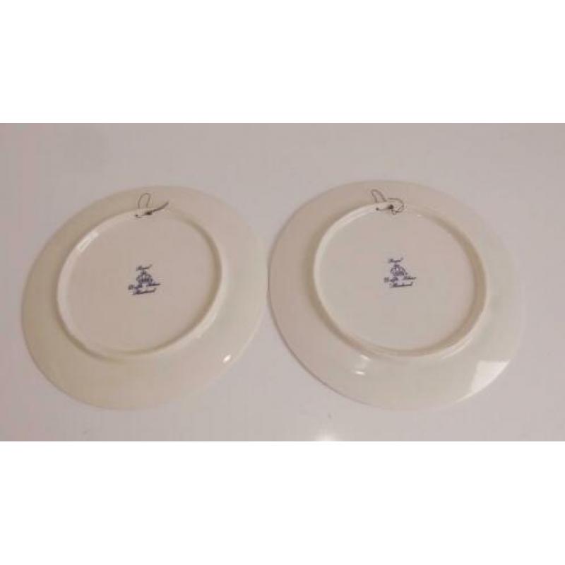 Wandborden, sierborden, Delfts blauw, Schwabap, Ironstone
