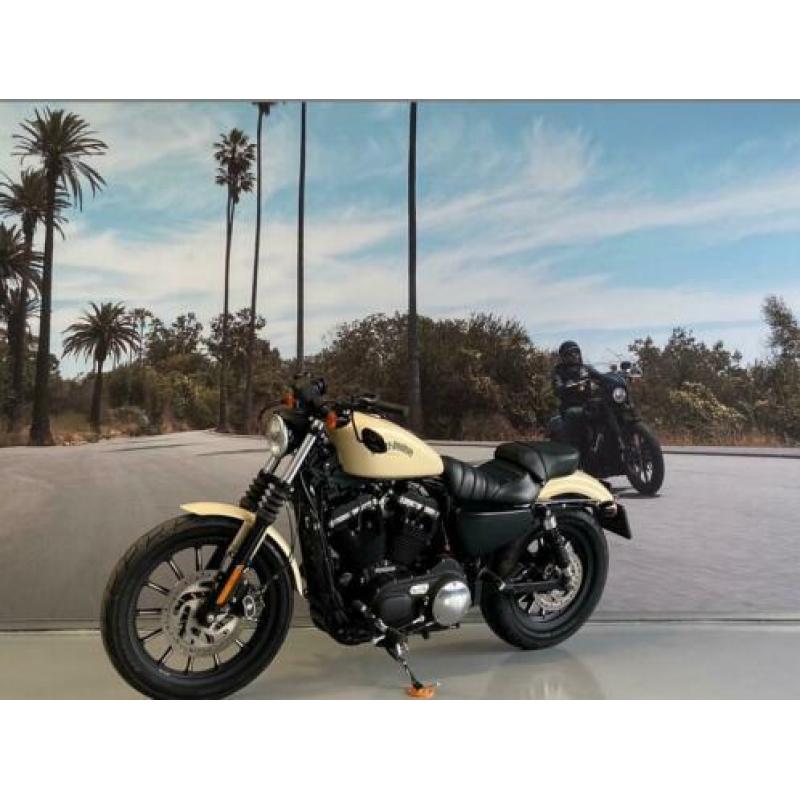 Harley-Davidson Sportster 883 IRON