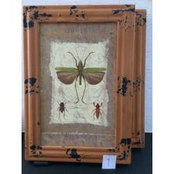17 x lijsten/sets met vlinders insekten decoratie oa. barok