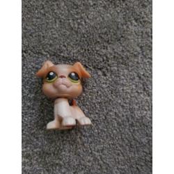 Pet shop dokter set
