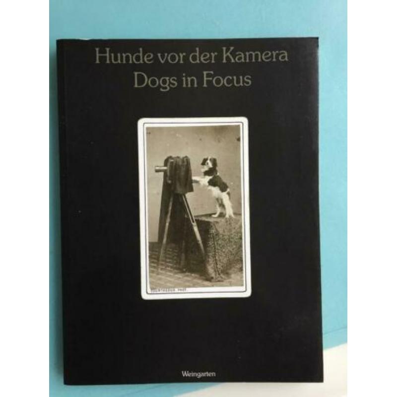 Foto’s Victoriaanse met hond boek