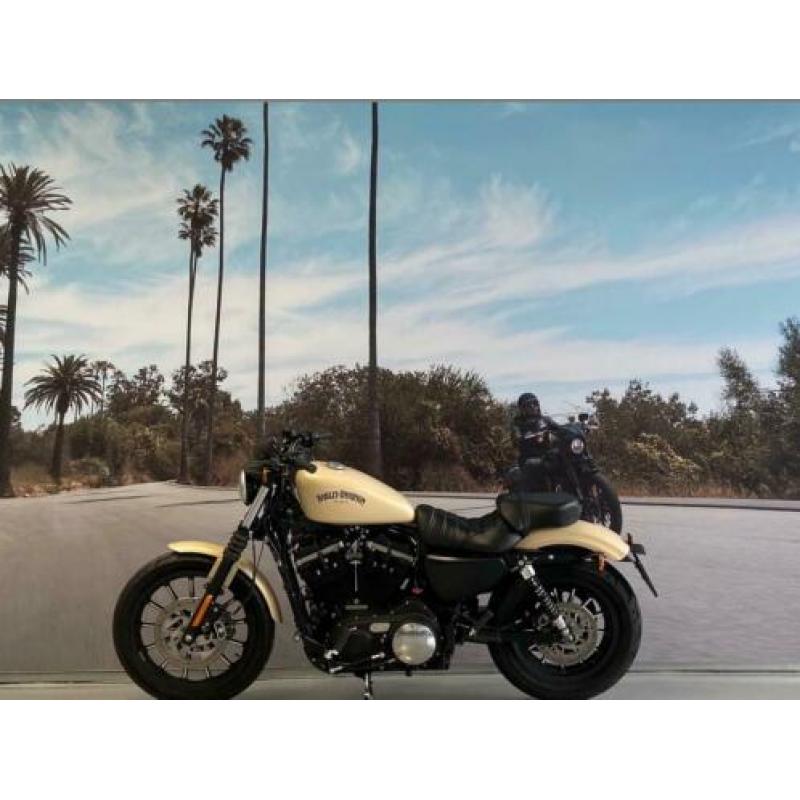 Harley-Davidson Sportster 883 IRON