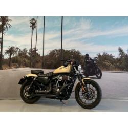 Harley-Davidson Sportster 883 IRON