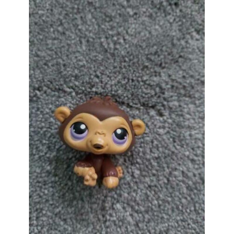 Pet shop dokter set