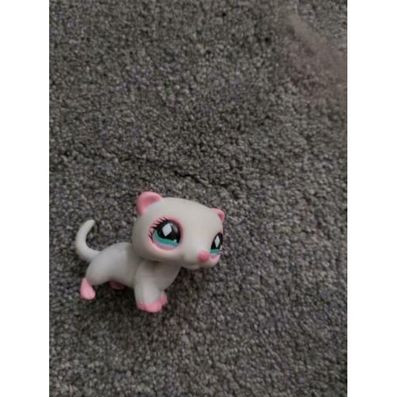 Pet shop dokter set