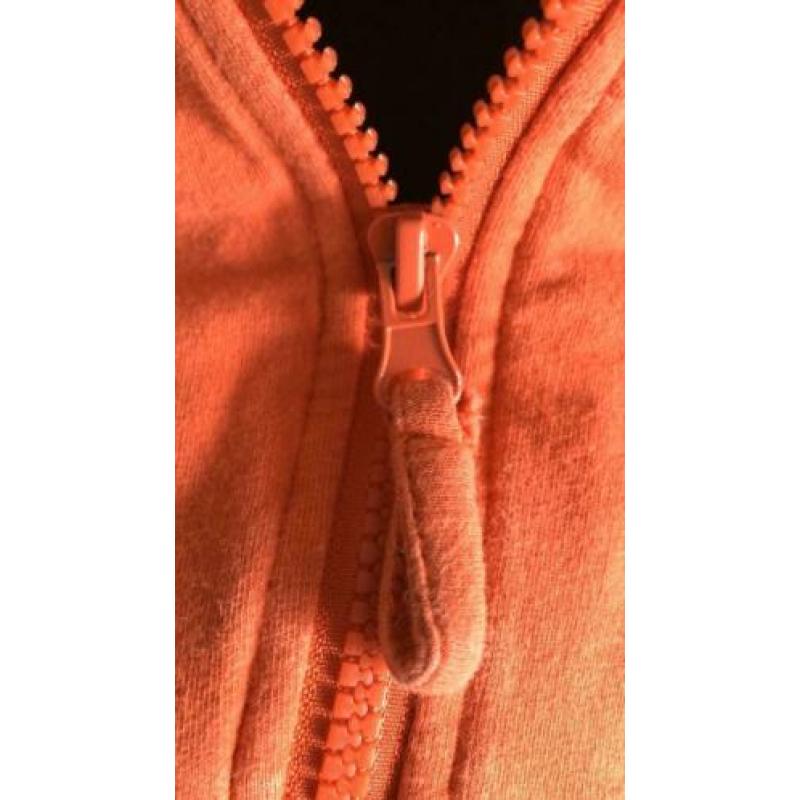 Gaaf borgvest Tommy van Z8 maat 92/98