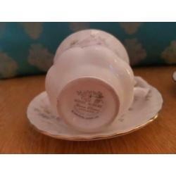 Royal Albert kopjes en schotels