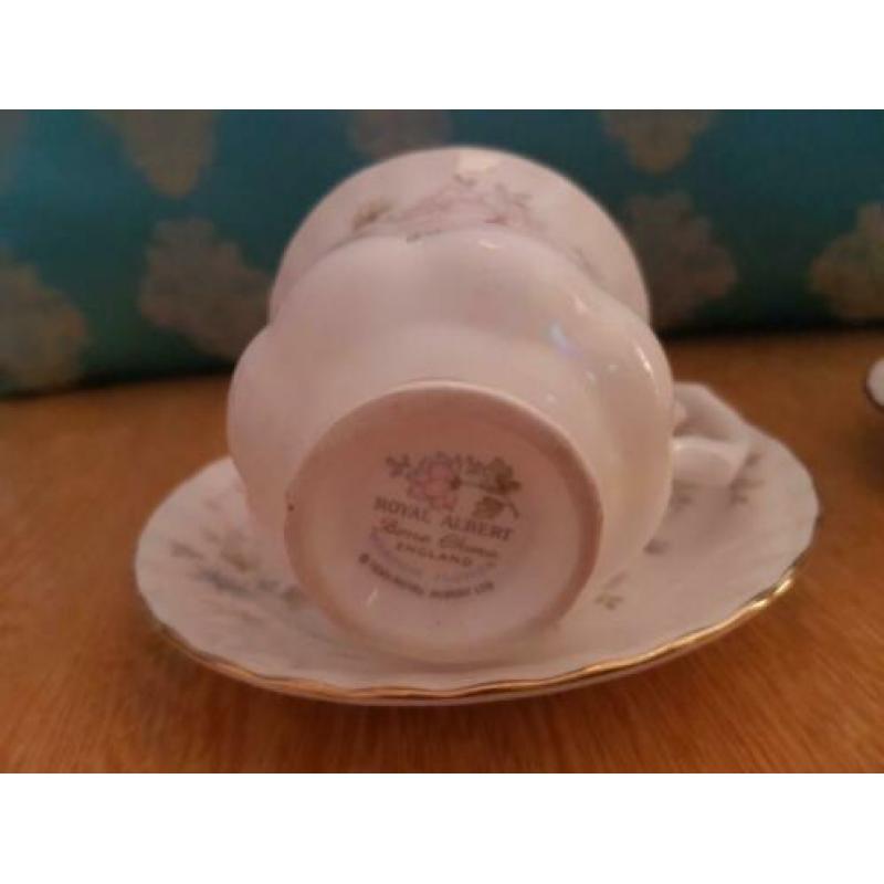 Royal Albert kopjes en schotels