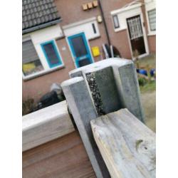 Douglas beton schutting 1 jaar oud