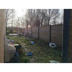 Douglas beton schutting 1 jaar oud