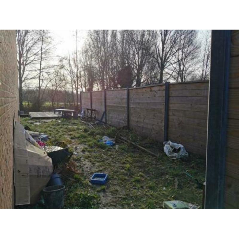 Douglas beton schutting 1 jaar oud