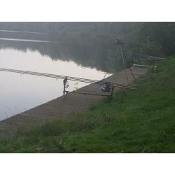 Fox karperset compleet