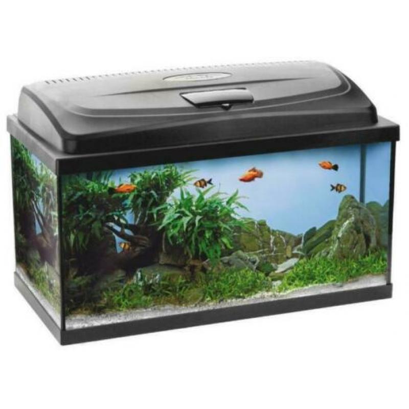 prachtig beginners aquarium met degelijke led verlichting