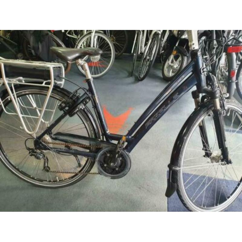 Gazelle Torrente Bosch