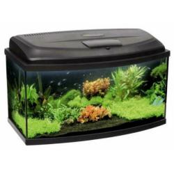 prachtig beginners aquarium met degelijke led verlichting