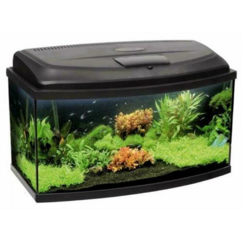 prachtig beginners aquarium met degelijke led verlichting