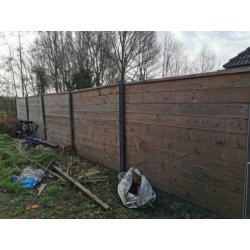 Douglas beton schutting 1 jaar oud