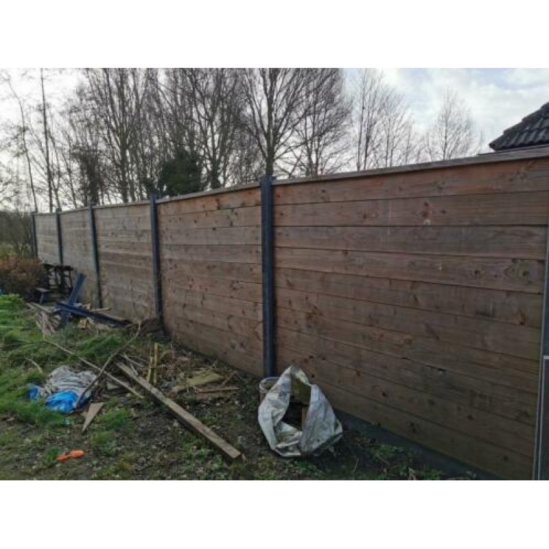 Douglas beton schutting 1 jaar oud
