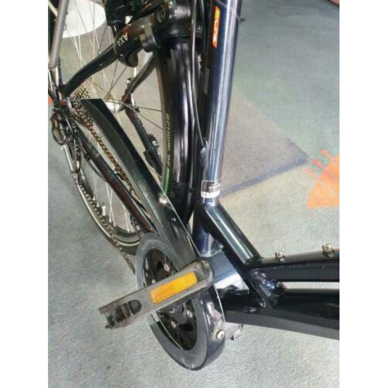 Gazelle Torrente Bosch