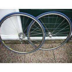 Campagolo record wielen