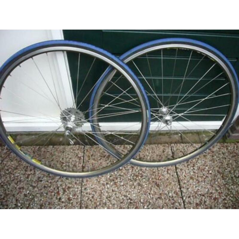 Campagolo record wielen