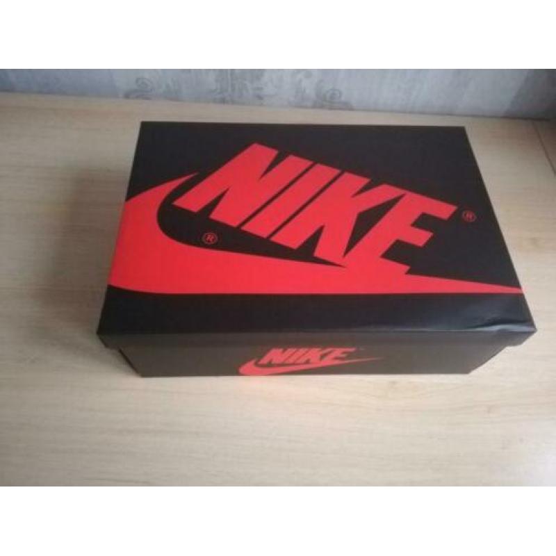 Air Jordan 1 Retro High OG