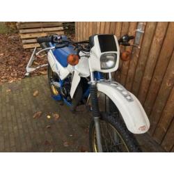 Suzuki TS50X, TSX