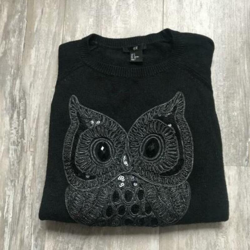 Trui zwart uil | H&M | Maat S (36)