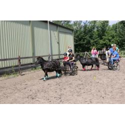 Shetjes