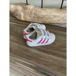 Adidas superstar maat 24
