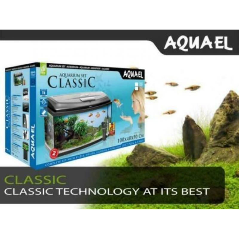 prachtig beginners aquarium met degelijke led verlichting