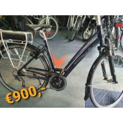 Gazelle Torrente Bosch