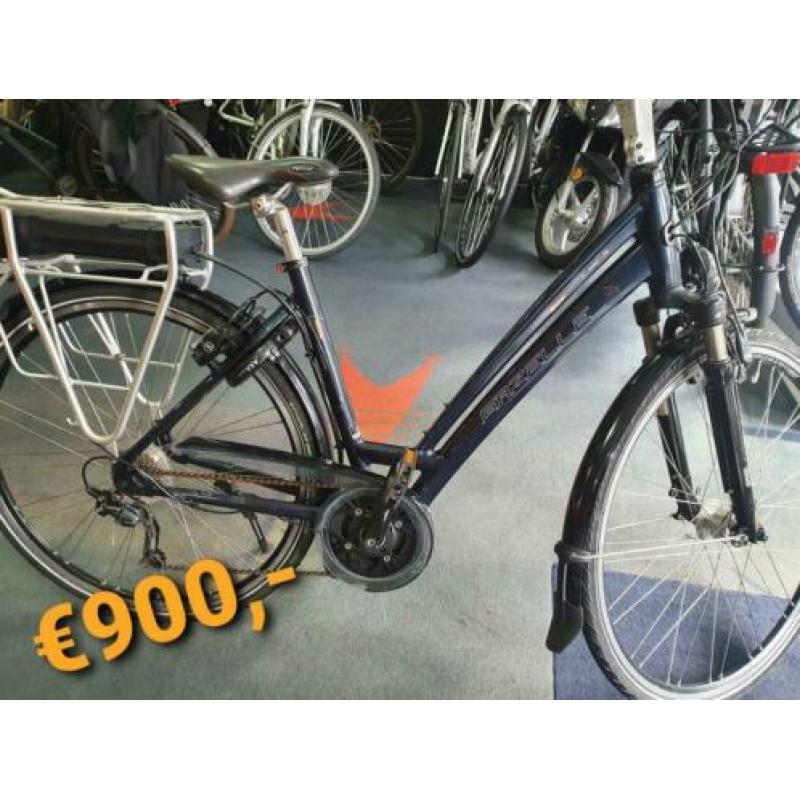 Gazelle Torrente Bosch