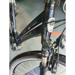 Gazelle Torrente Bosch