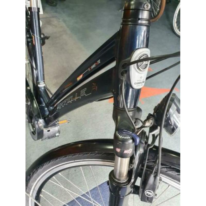 Gazelle Torrente Bosch