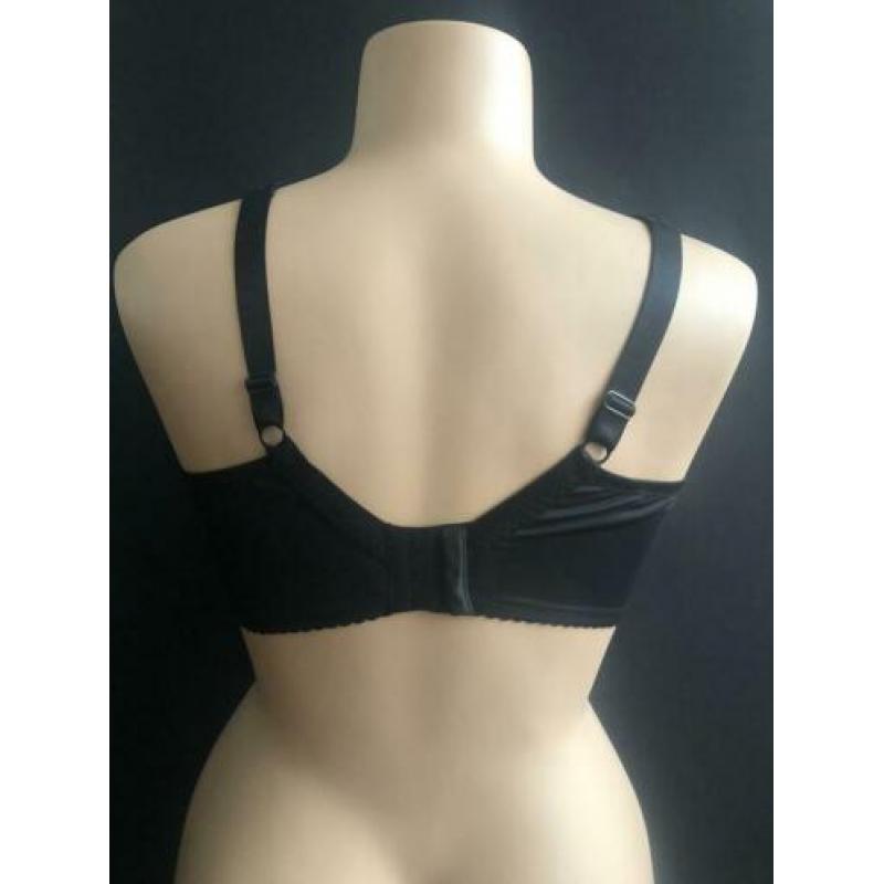 Syl bh 80d -95d - 105d - 80e - 80f maia wild rose