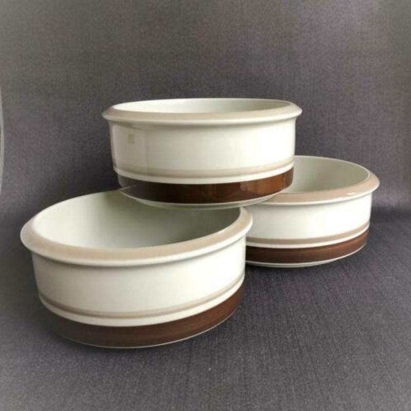 Arabia Finland Pirtti Drie Vintage Grote Kommen, Mid Century