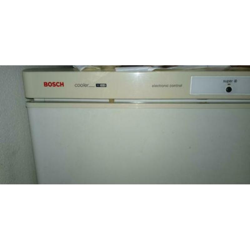 bosch