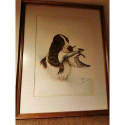 litho jachttafereel Springer Spaniels