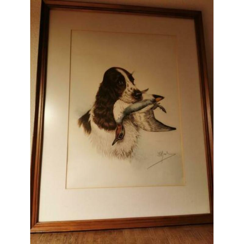 litho jachttafereel Springer Spaniels