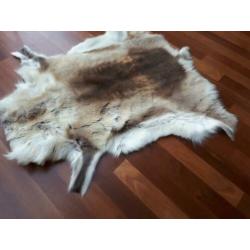 Originele stoere RENDIERVACHT/ HUID uit Lapland (Finland)