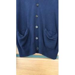 Polo Ralph Lauren blauw vest