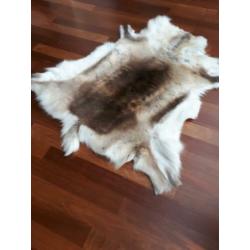 Originele stoere RENDIERVACHT/ HUID uit Lapland (Finland)