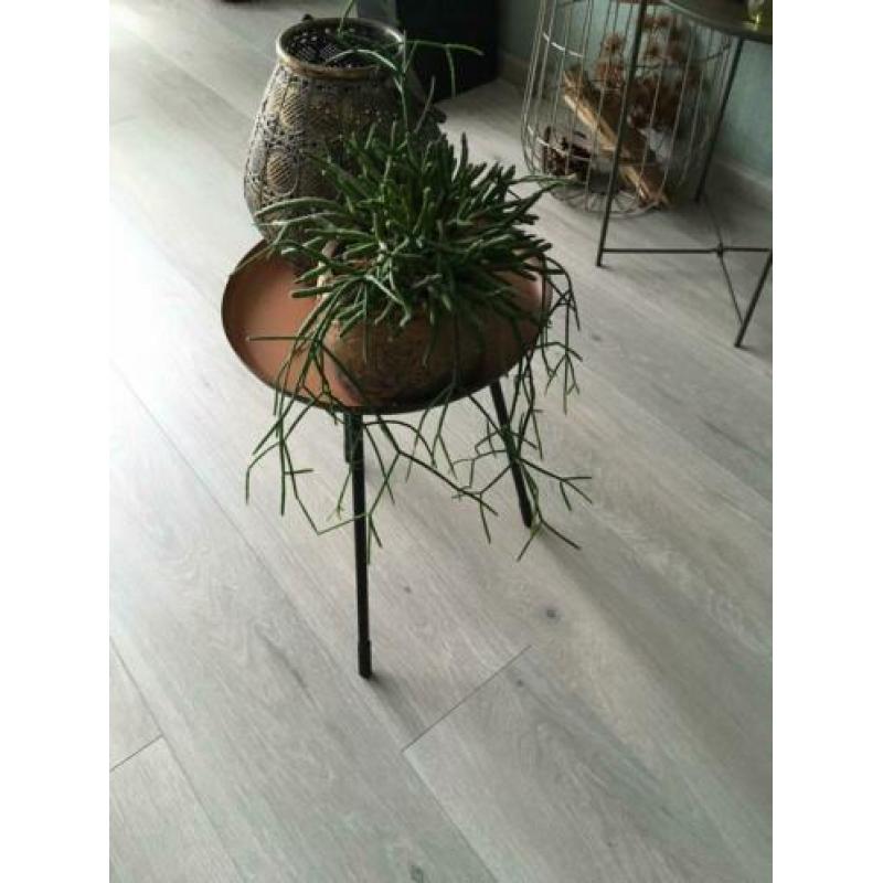 Leuke bijzettafeltjes