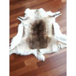 Originele stoere RENDIERVACHT/ HUID uit Lapland (Finland)