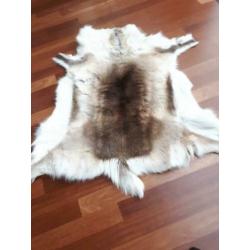 Originele stoere RENDIERVACHT/ HUID uit Lapland (Finland)