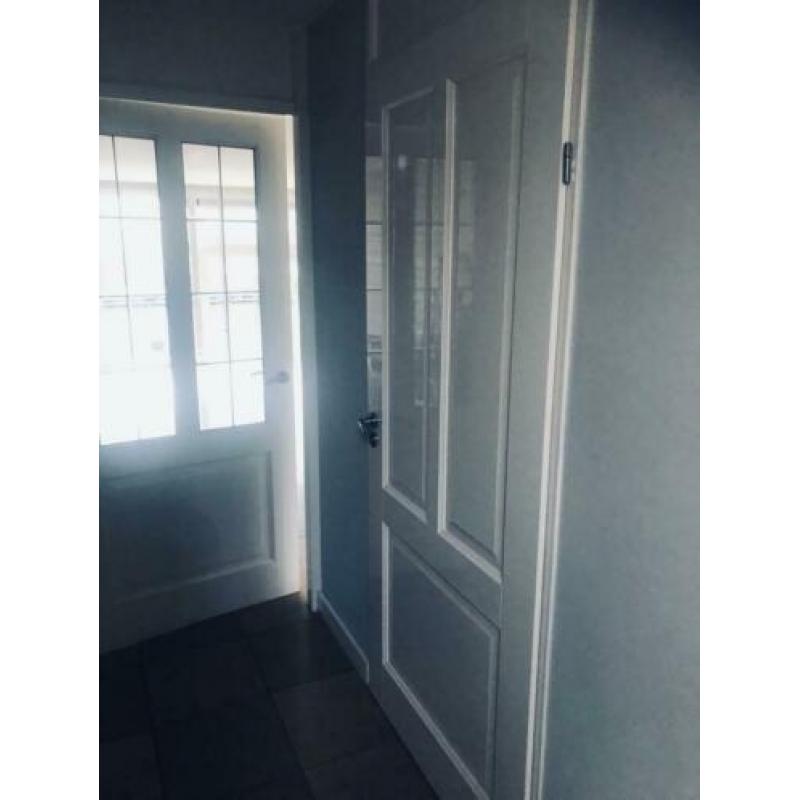 Binnendeur opdek met glas in lood en wc deur