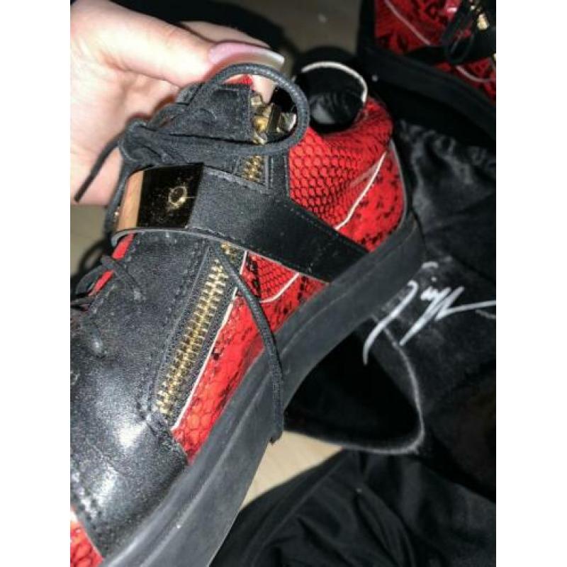 Giuseppe Zanotti maat 44/45