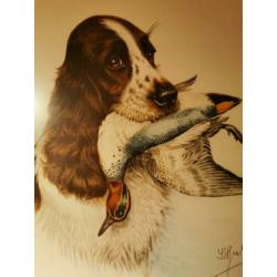 litho jachttafereel Springer Spaniels