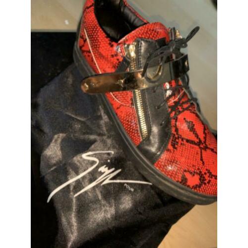 Giuseppe Zanotti maat 44/45